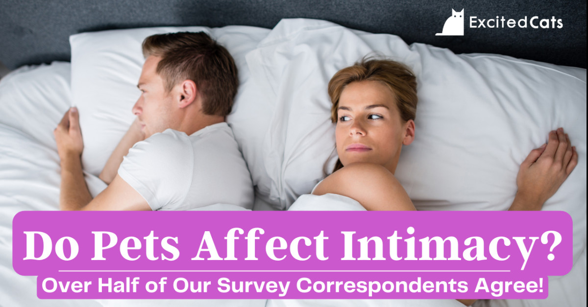 Do Pets Affect Intimacy Between CoPetParents? Data reveals