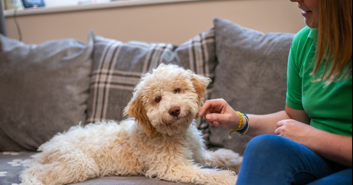 Petpals
