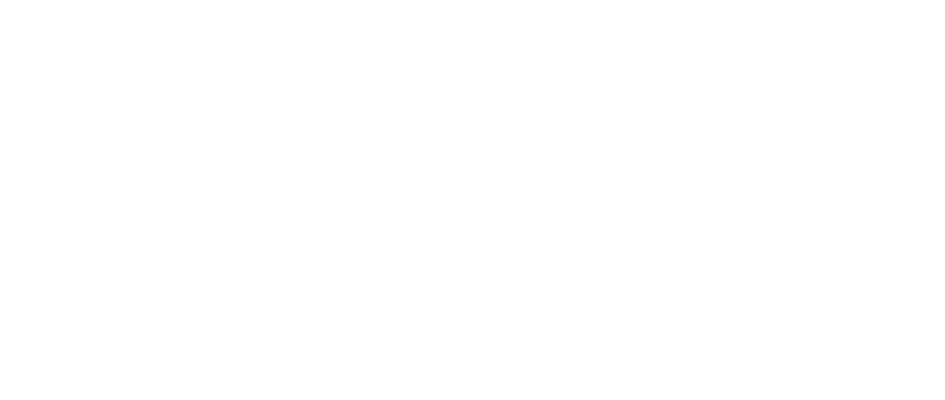 ScaleUp Institute